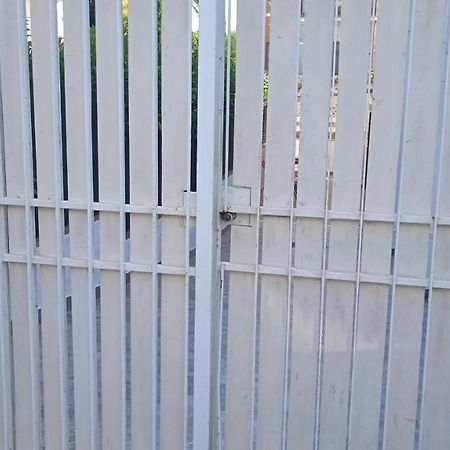 Casetta Con Giardino Villa Santa Marinella Eksteriør billede